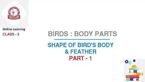 Class 3 Science : Birds : Body Parts | Part - 1 | Shape of Bird