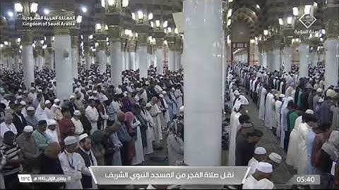' فواتح سورة النحل   ١ - ٢٣ ' الشيخ #عبدالمحسن_القاسم صلاة الفجر  ١١-٥-١٤٤٥ هـ