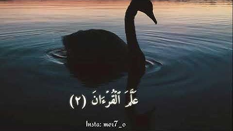 حالات واتـس اب {قرآنيــــة) سورة-الرحمن😍