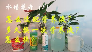 【水培花卉8】怎么选择和配制水培营养液？多久更换营养液？How to select  hydroponic nutrient solution? How often to change  it?
