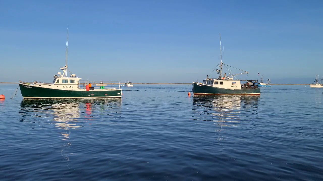 chatham harbor cruises