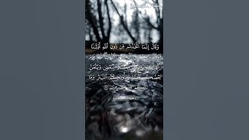 سورة العنكبوت من  آية 25 إلى آية 26 بصوت الشيخ ياسر الدوسري♥♥
