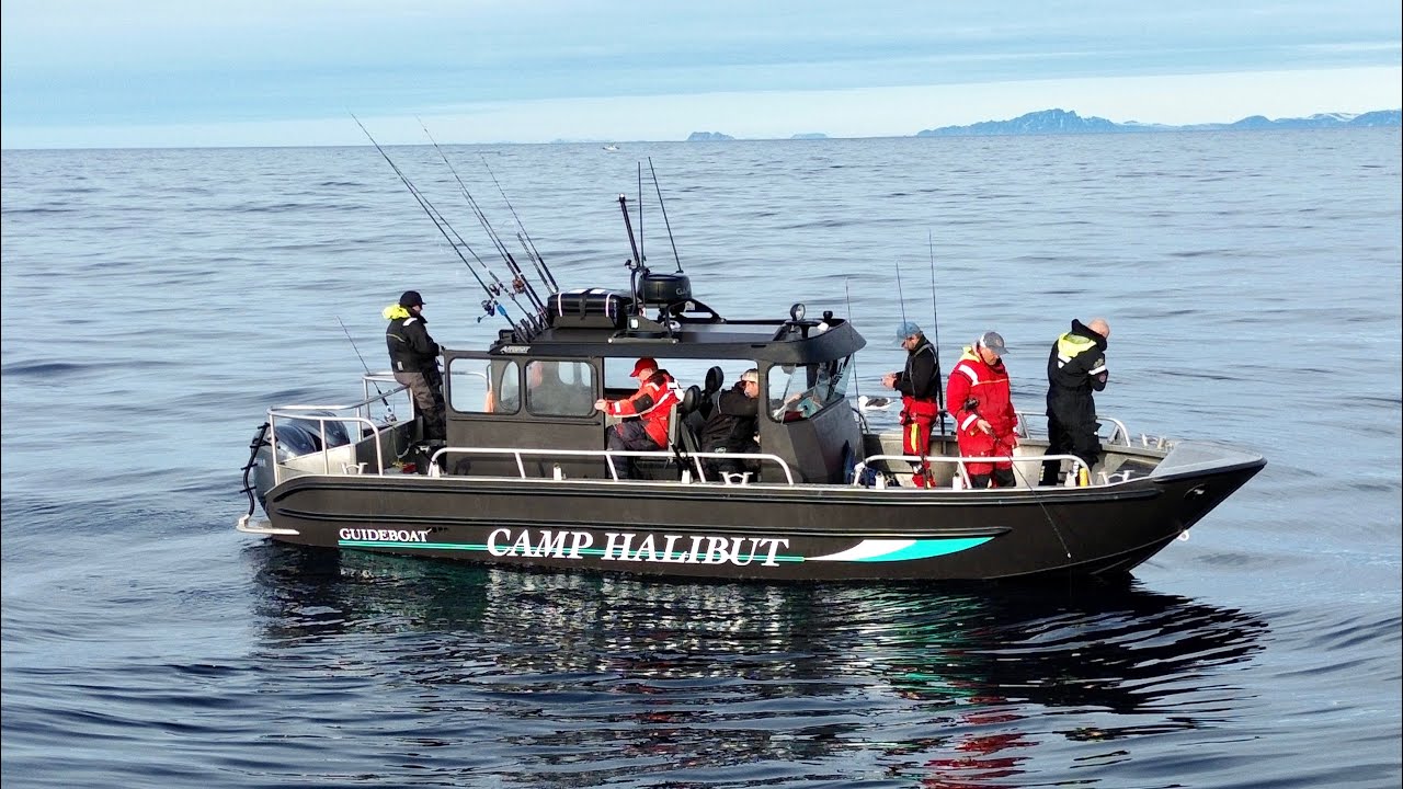 Jakten på Storkveita - Sørøya mai 2025 - Camp Halibut
