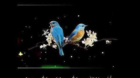تلاوة الشيخ عبدالله الموسى((فسبحان الله حين تمسون وحين تصبحون))