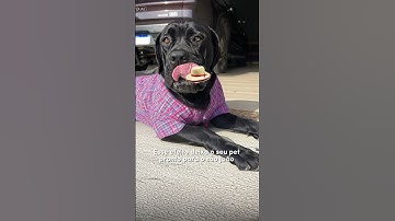 #multiaverso #aifilter