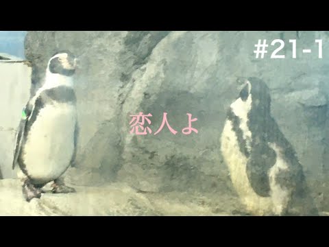 五輪真弓/恋人よ 弾き語り(演奏のみ)