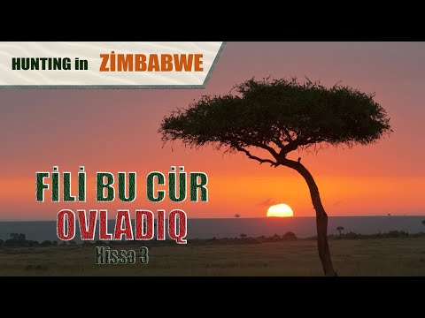Amazonning yovvoyi qabilalari video