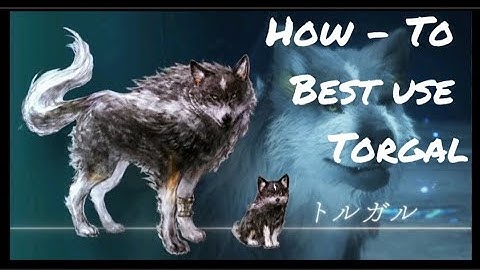 Final Fantasy 16 - Tutorial: How to Best Use Torgal