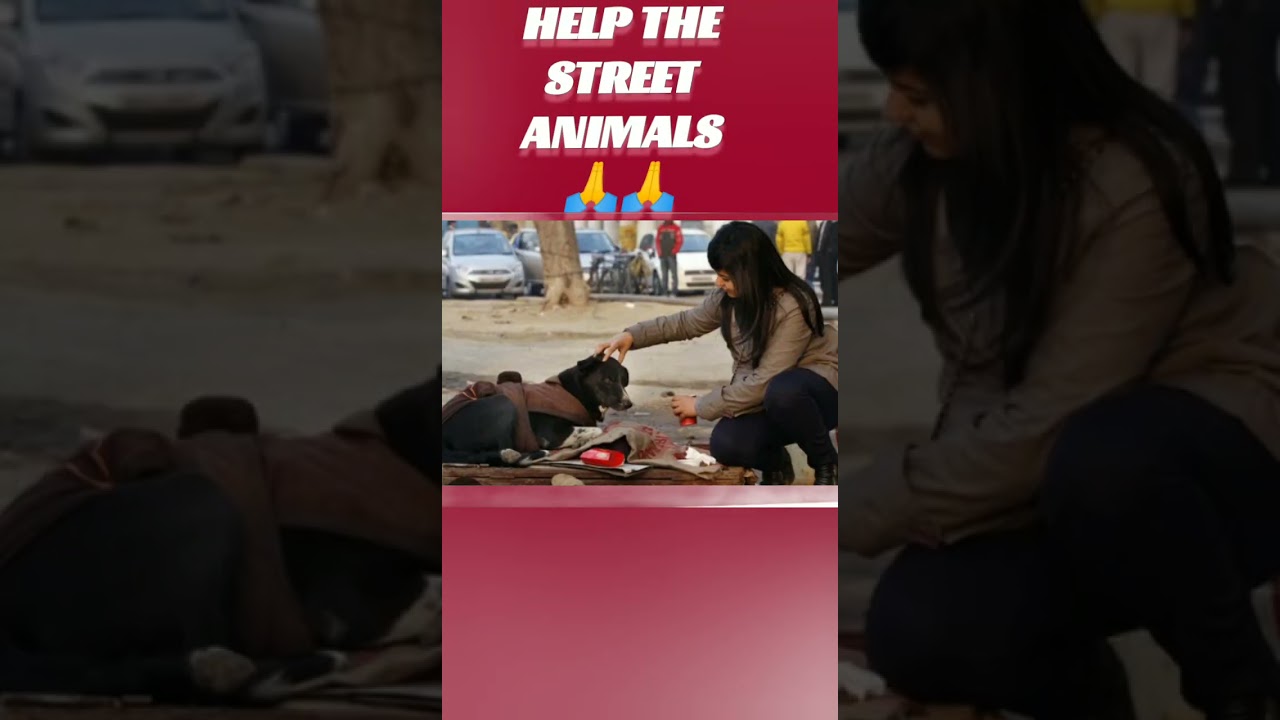 Chilly winters🥶🤯 Lets help people and animals around🙏🙏
