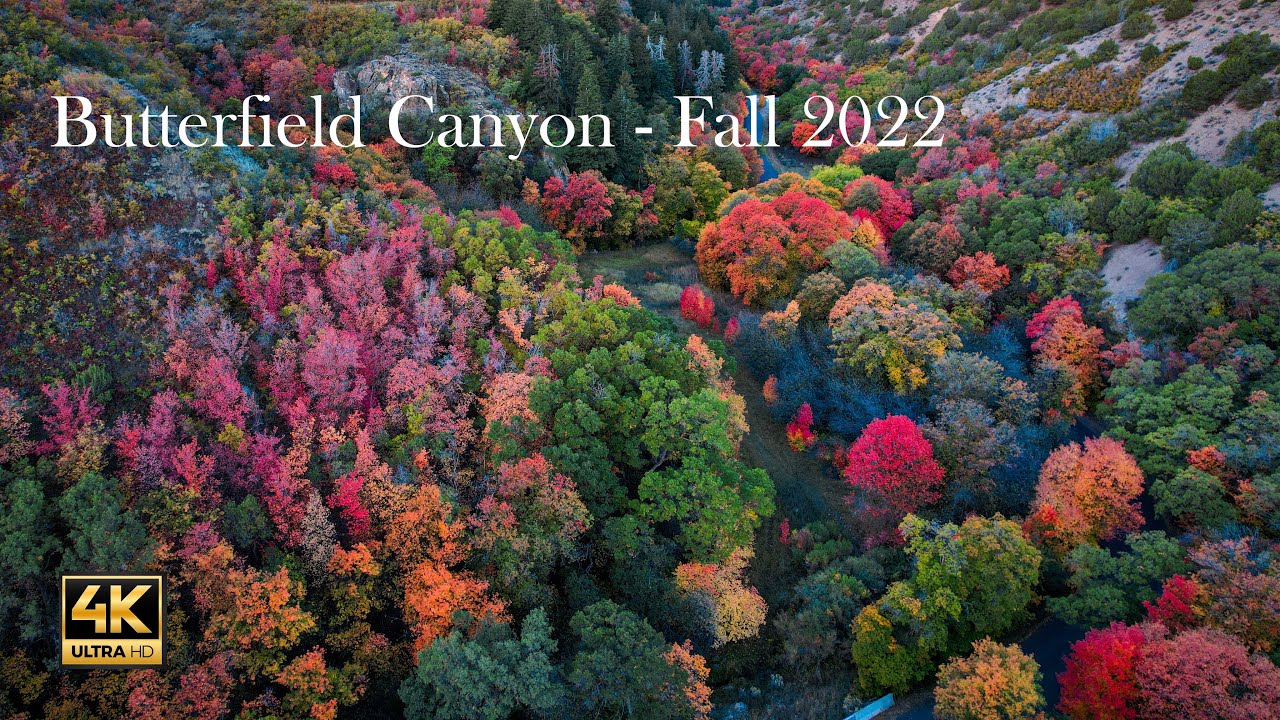 Fall Leaves Butterfield Canyon 4K Oct 2022 YouTube