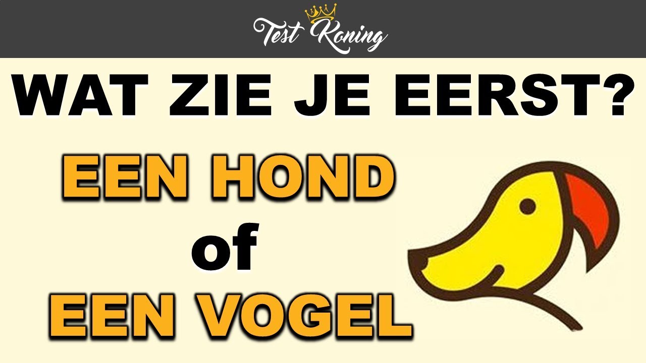 Test Je Brein Met Deze 5 illusies