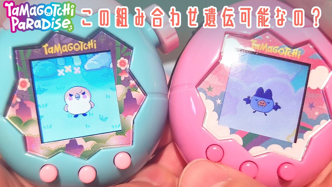 【たまごっち パラダイス】互いに存在しないたまごっちだけどちゃんと遺伝残せるの？【Tamagotchi Paradise】