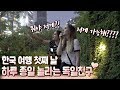 서울은 미래도시 같아!! 한국에 처음 여행 온 독일친구에게 서울구경을 시켜줬더니 반응이? / 독일친구 사브리나 #2 l ENG CC