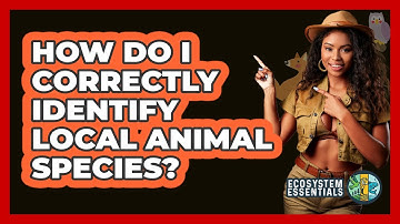 How Do I Correctly Identify Local Animal Species? - Ecosystem Essentials