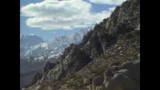 Transplanting Wild Sheep - Mr. Wizard's Safari