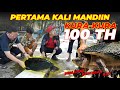 INI KURA-KURA UMUR 100 TAHUN BARU PERTAMA KALI DI MANDIIN BARENG ALSHAD