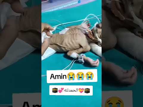 دعم قناة بي اشتراك اشتركو في القناة      