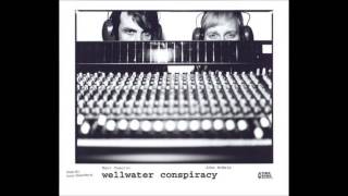 Wellwater Conspiracy - Born With A Tail