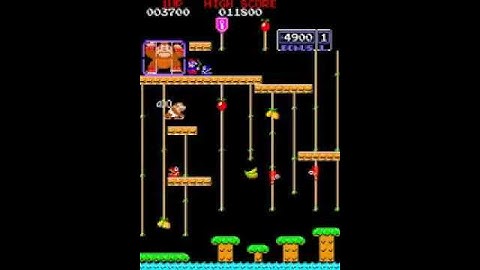 Donkey Kong Jr.(Arcade)(Bootleg) Intro(Take 2)(03-26-14)