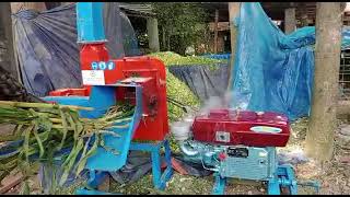 Model c3 silage chaffer Made in bangladesh Phone 01836761707