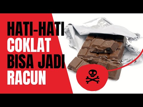 Video: Bagaimana Memilih Cokelat?