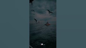 القارئ شريف مصطفى حالات واتس اب🍁