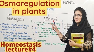 OSMOREGULATION IN PLANTS|| hydrophytes/xerophytes/mesophytes/class 12.