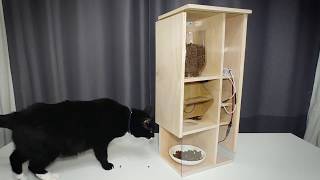 How to make Automatic Cat Feeder