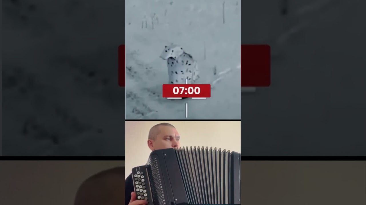 ЧТО ЭТО ЗА ПИНГВИН?