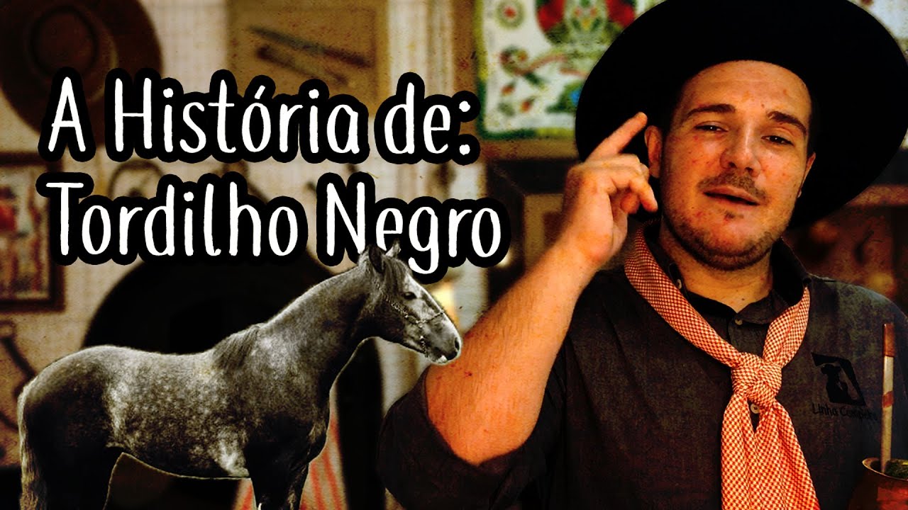 A Historia da Música Tordilho Negro do Teixeirinha - #LinhaCampeira 123