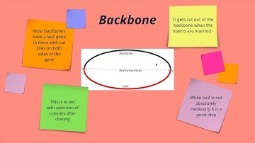 Golden Gate Assembly Part I