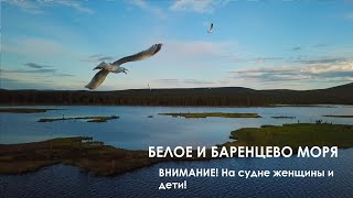 Баренцево и Белое моря. Виды русской Арктики.