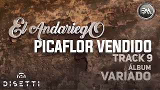 El Andariego - Picaflor Vendido (Audio Oficial) | Música Popular chords
