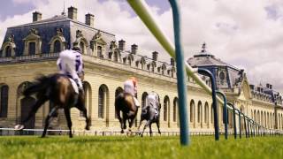 Equine Careers - Video Production