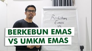 Download Lagu Strategi Investasi Emas Paling Menguntungkan Sepanjang Sejarah MP3