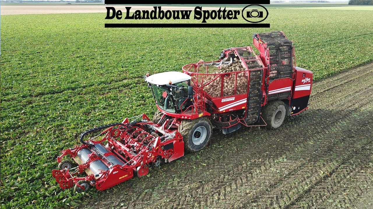 Rexor 620 Harvesting and Loading Sugarbeets | Grimme Rexor 620 | Breure | de ...