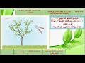 طرق التكاثر الخ ض ري الاصطناعي التطعيم حادي عشر احياء