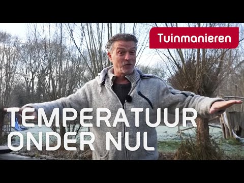 Video: 3 manieren om hartgezond wintervoedsel te kiezen