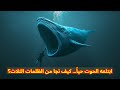 كيف نجا يونس من بطن الحوت المعجزة التي أذهلت العا كيف نجا يونس من بطن الحوت المعجزة التي أذهلت العا