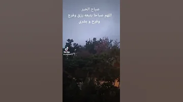 صباح الخير مع نسيم الصباح وصوت العصفور سبحان الخالق Good Morning 