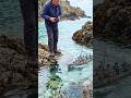 it's looks real.......but it's a tiny 🥶🤯#shorts #rcboat #miniature #viral #satisfying #miniature