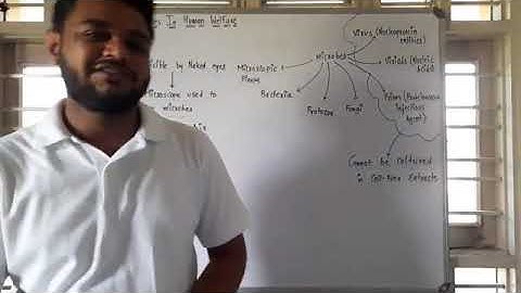 Std-12-Eng.Med Biology Ch-10 PART-10-1