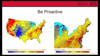 Managing Heat Stress in Your Cattle