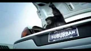 Never Released Trunk Monkey Ad I