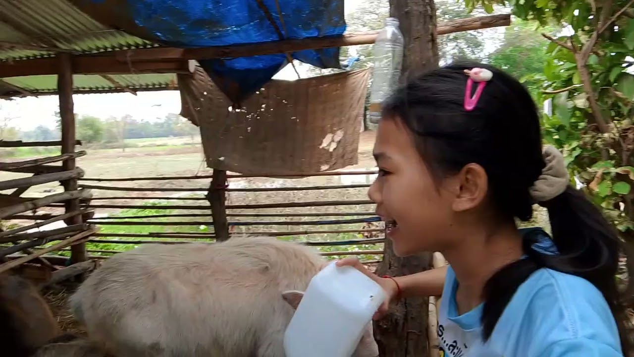 อีหล่าทำหน้าที่ป้อนนมน้องธิดาลาว