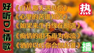 七首超好听DJ情歌《自从那天遇见你》《喝完最后一杯忘了你是谁》