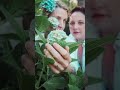 Serie 'El sostén empatico' 🍃