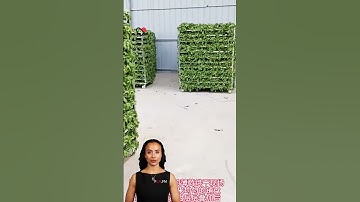 #fcnfm Unlock the True Potential of Fresh Produce: How Drying Machines Enhance Quality & Shelf-Life