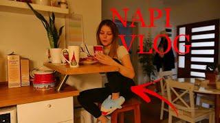 NAPI VLOG | VLOGMAS #12