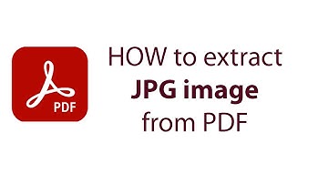 Extract images from PDF tutorial#tricks #shortsvideos #shorts